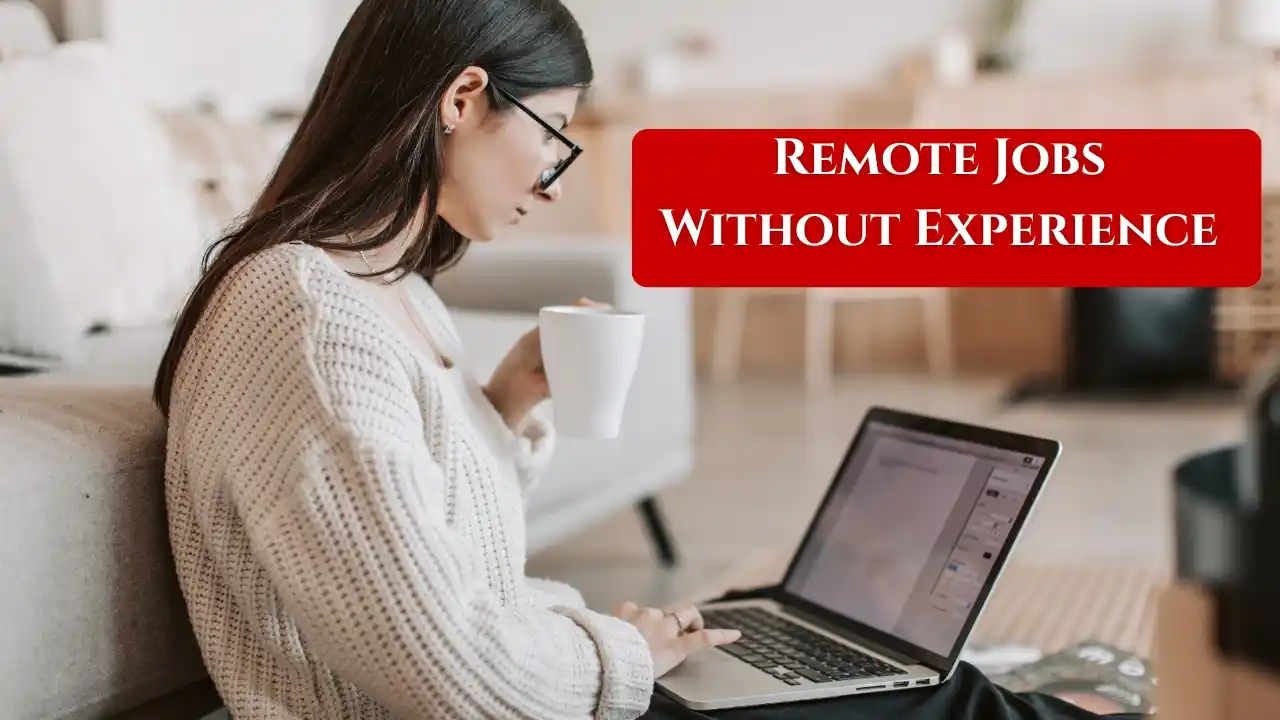 Remote Jobs Without Experience